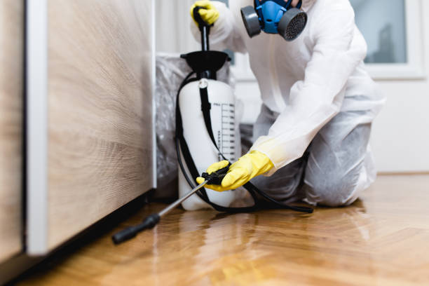 Best Commercial Pest Control Services  in Stone Park, IL
