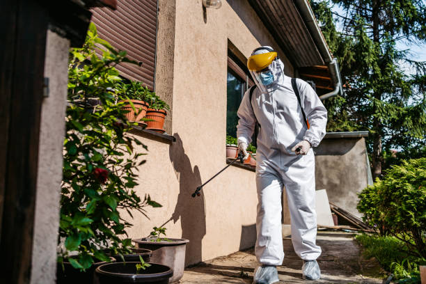 Best Pest Removal Services  in Stone Park, IL