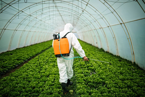 Best Affordable Pest Control Services  in Stone Park, IL