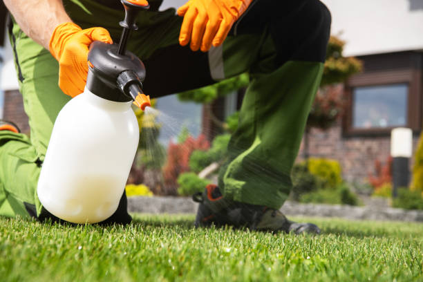 Pest Control for Restaurants in Stone Park, IL