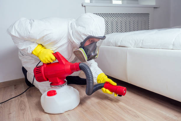 Best Residential Pest Control  in Stone Park, IL