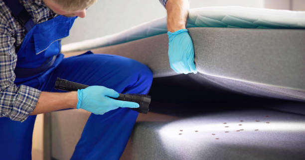 Best Pest Inspection Near Me  in Stone Park, IL