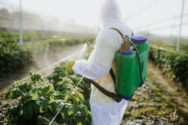 Pest Control Cost in Stone Park, IL